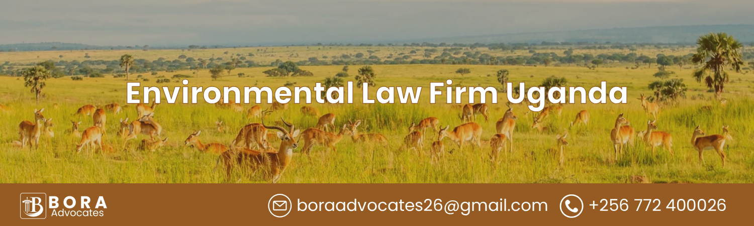 Environmental Law Firm Uganda - Bora Advocates Areas of Expertise